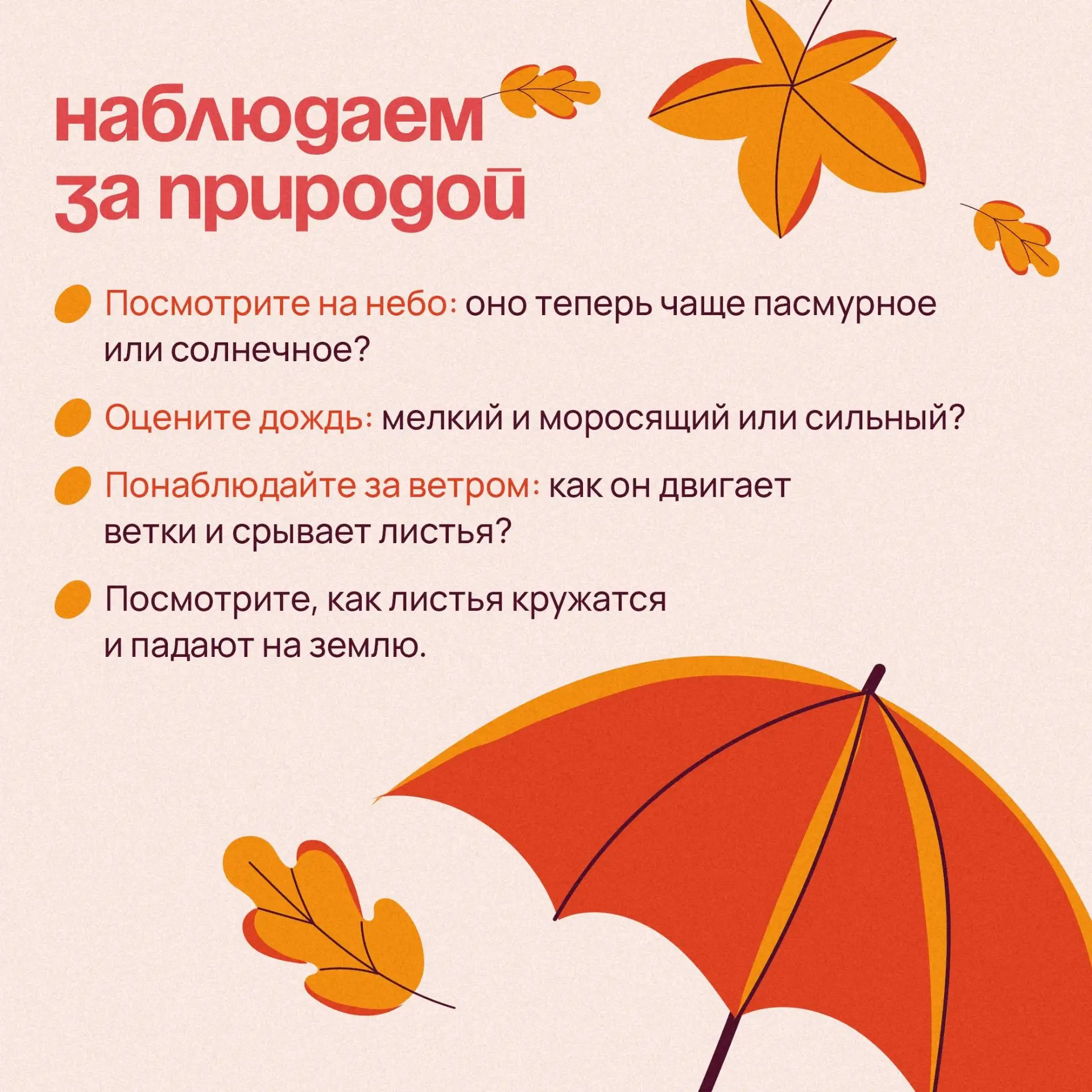 🍂  Следом за летом осень идет. Желтые песни ей ветер поет
