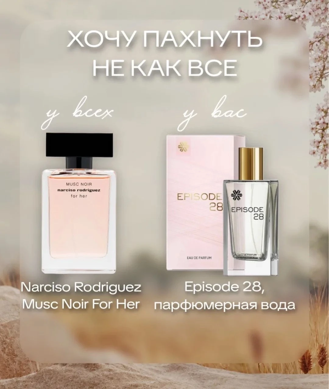🖤 Episode 28 - Siberian Wellness