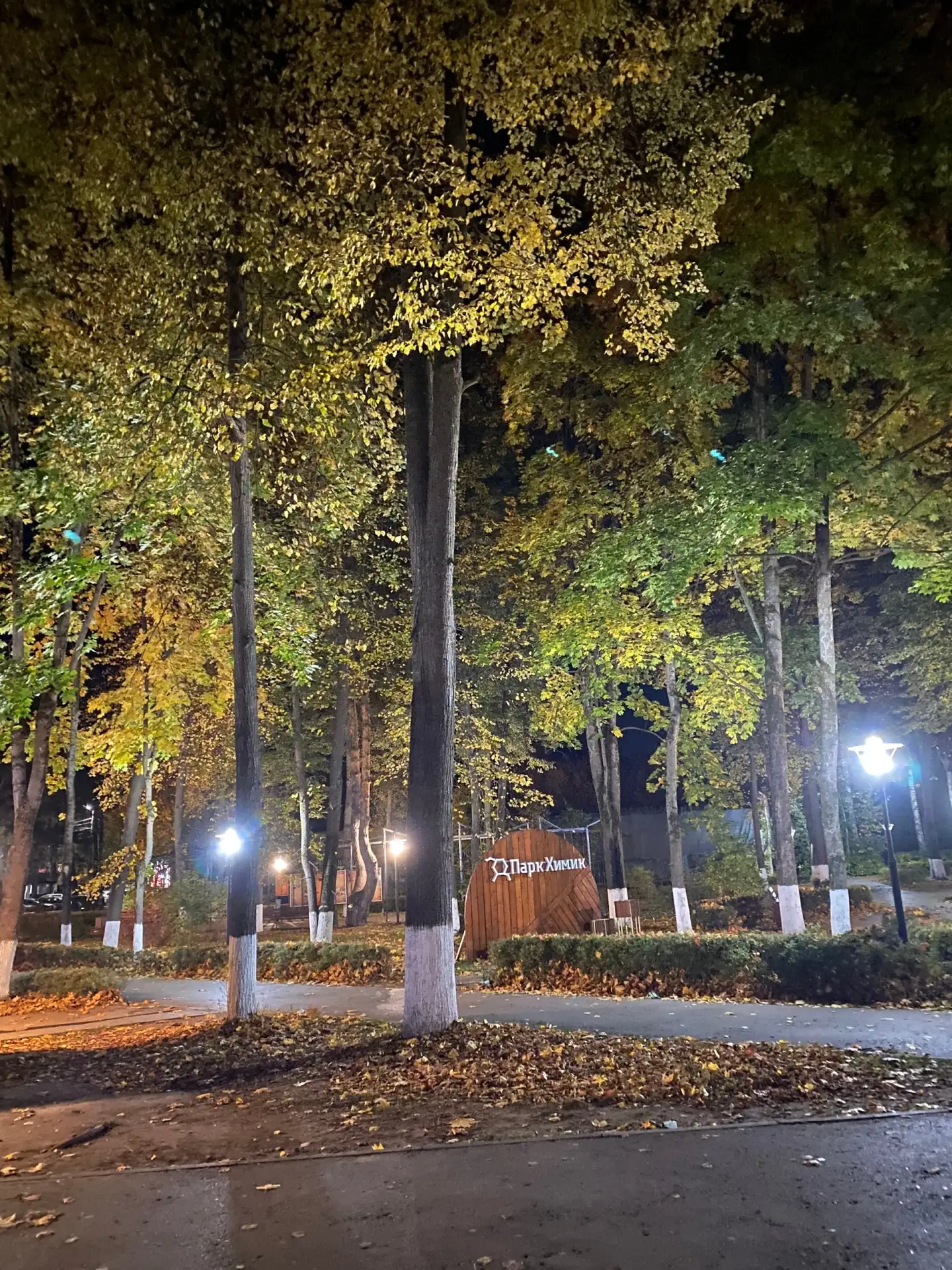 Осень 🍂… Вечерний Алексин 🫶🏼