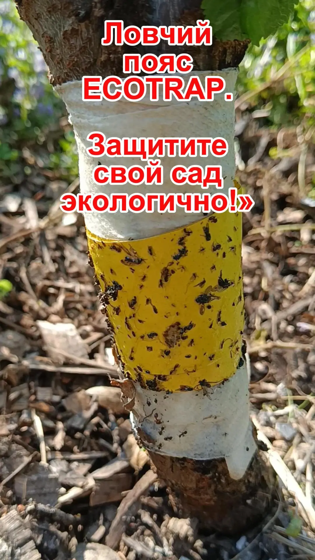 https://vkvideo.ru/clip-101079042_456240791?sh=4 Перейти на Ozon: https://vk.cc/cY8EcF