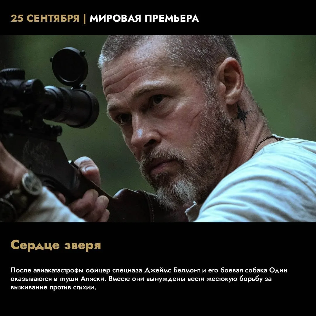💯 - отлично