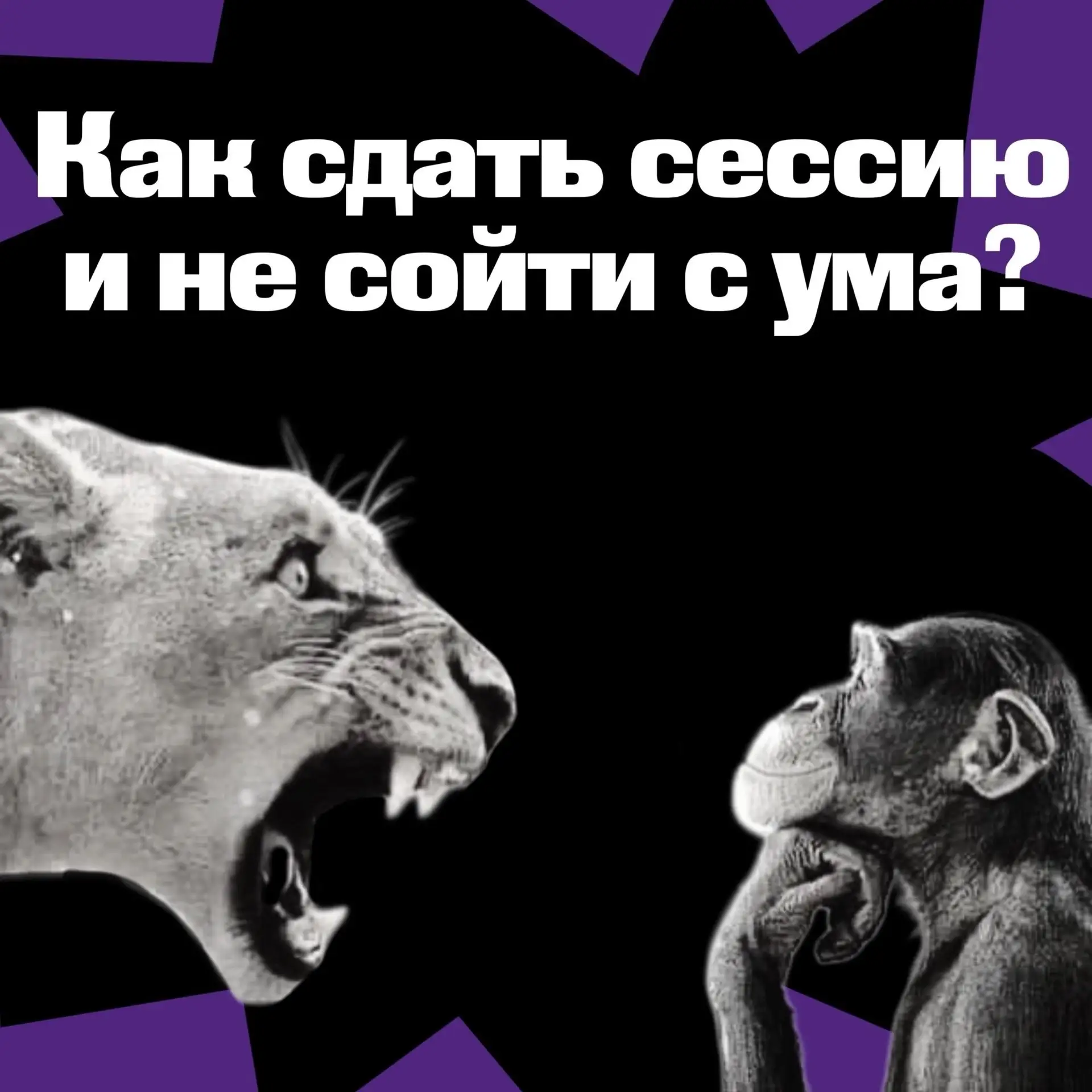 Погоди, это реально?

Оказывается, подготовиться к сессии можно быстрее и проще! Союз Студентов собр