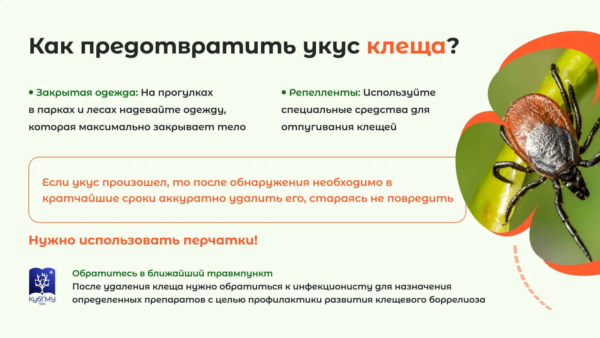 🕷 Впереди майские праздники — время отдыха на природе