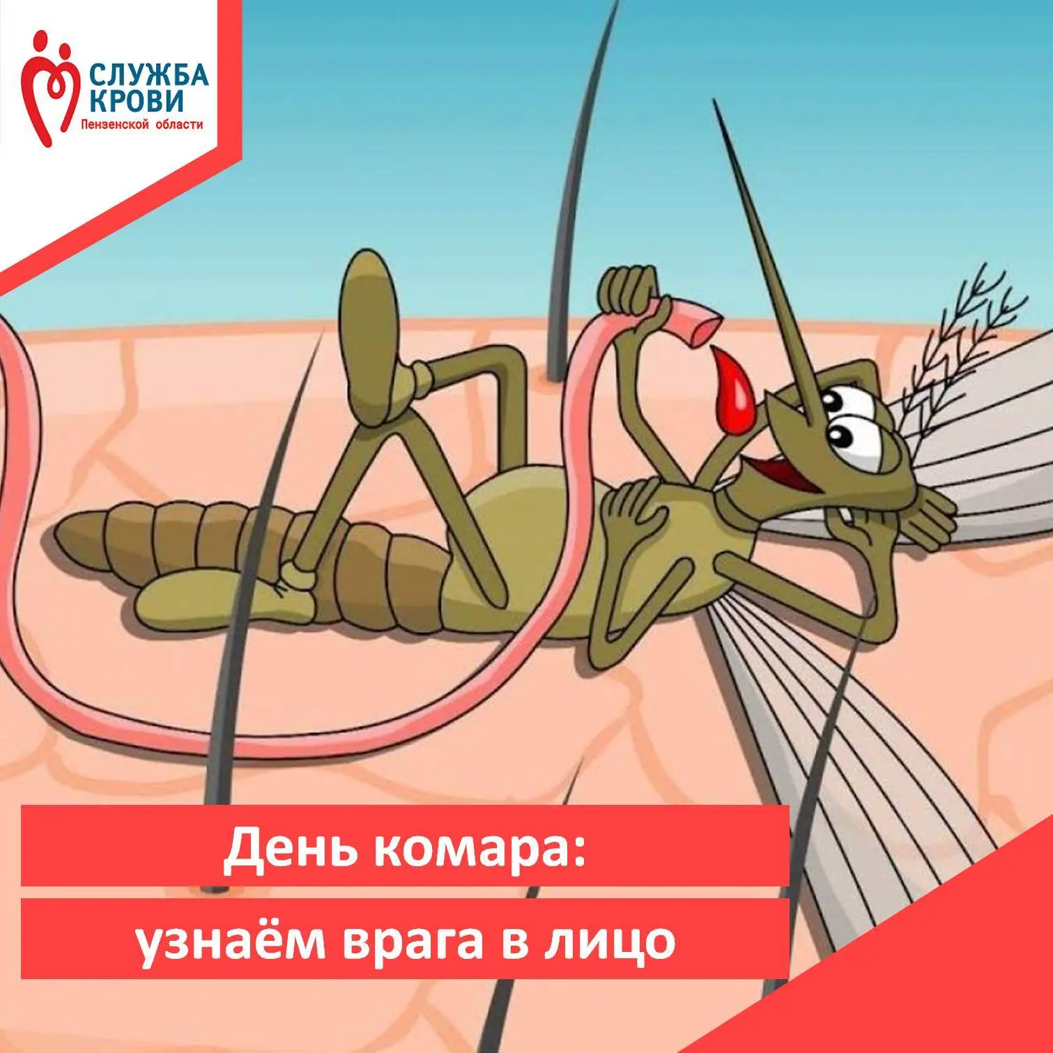 🦟 Сегодня — День комара. Да-да, у этих жужжащих тоже есть свой праздник. И пусть они н...