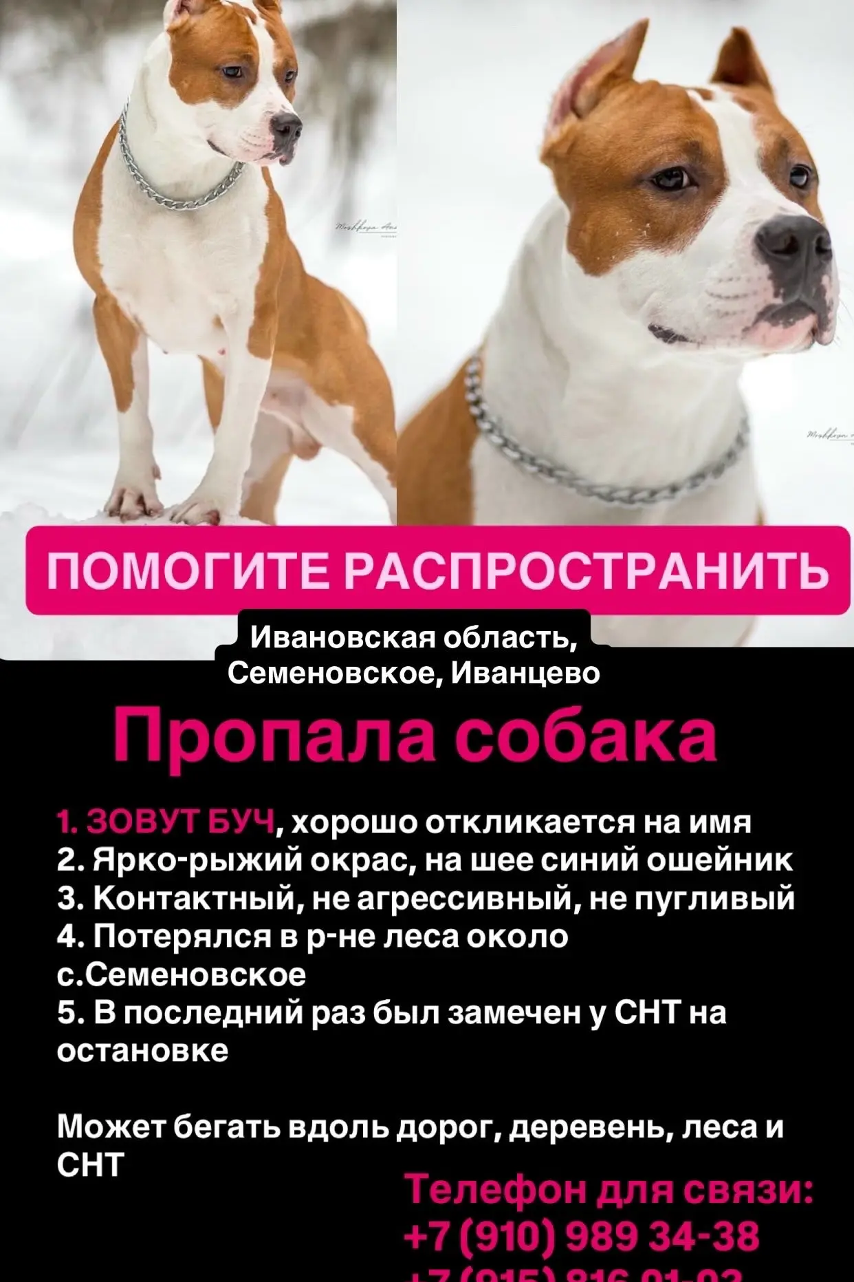 ИВАНОВСКАЯ ОБЛАСТЬ