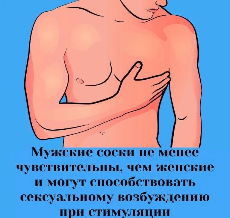 Сексология