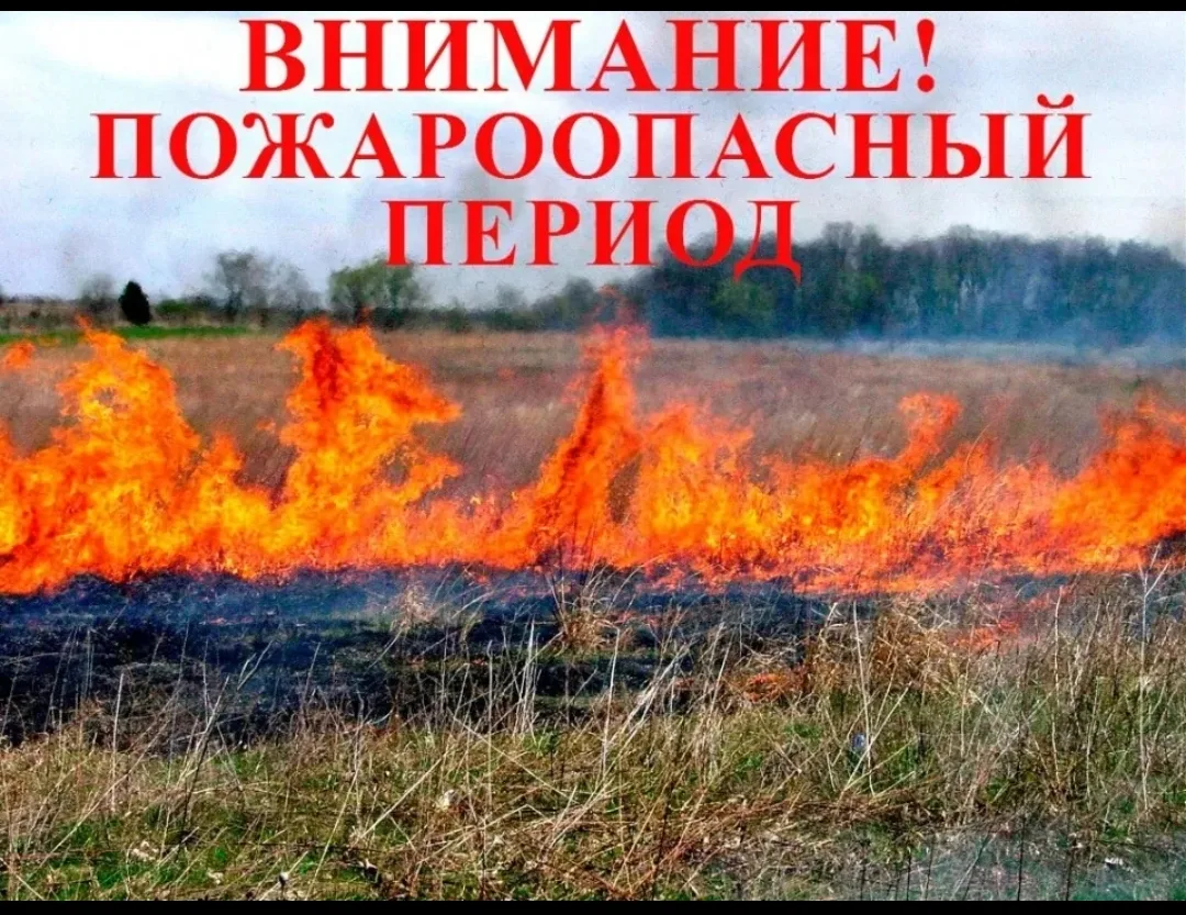 📛Уважаемые жители, напоминаем вам, что в  Ростовской области, действует особый противо...