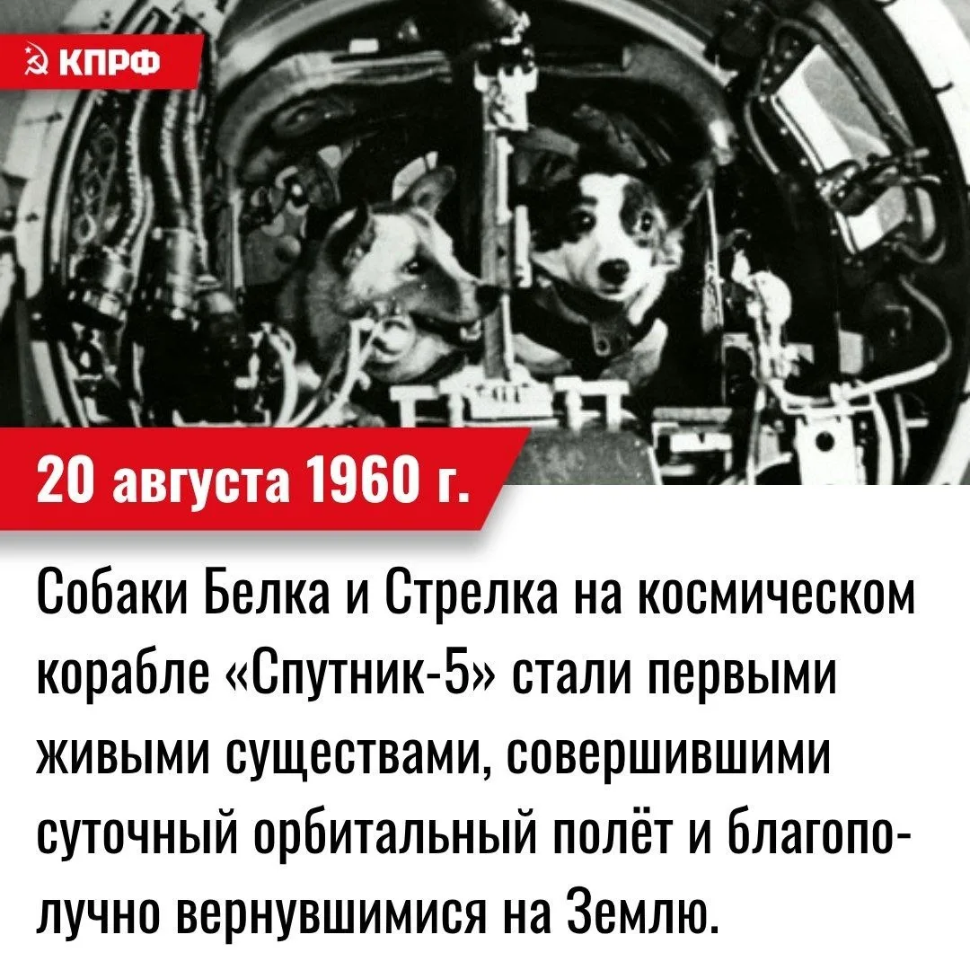20 августа 1960 года – Собаки Белка и Стрелка на космическом корабле «Спутник-5» стали ...