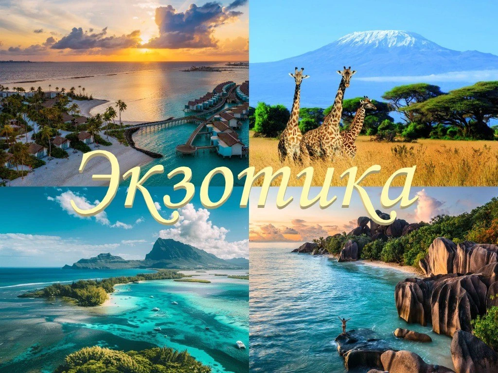 🌴Экзотика!🦒