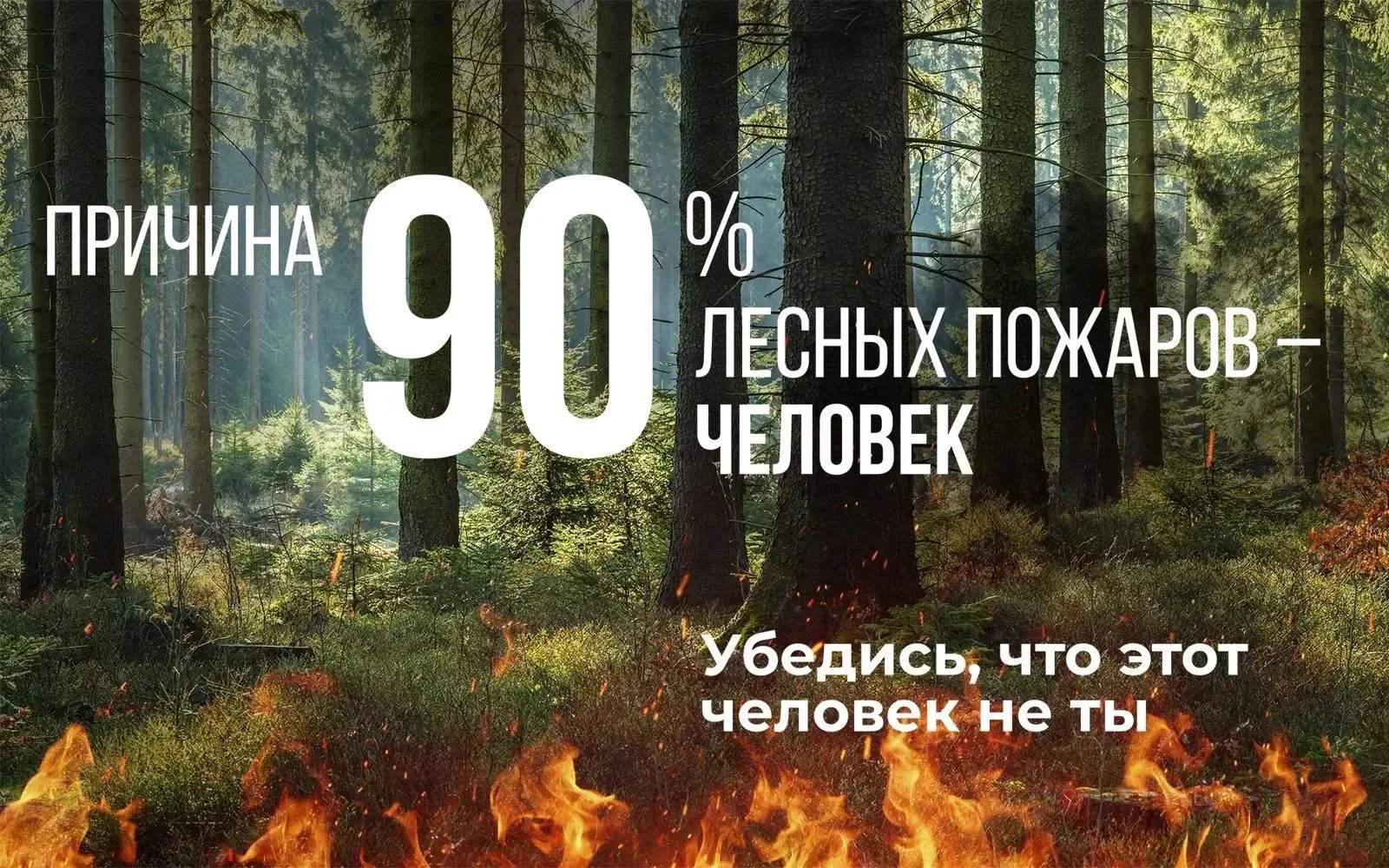 На опережение стихии: профилактика и борьба с лесными пожарами
На сегодня особый противопожарный сез