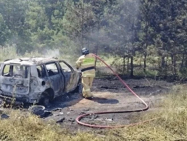 Рядом с лесом у села Горбуновка вспыхнул автомобиль
ЧП устранили пожарные.