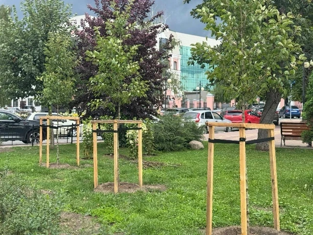 🌿 Сколько новых деревьев посадили в Калуге?