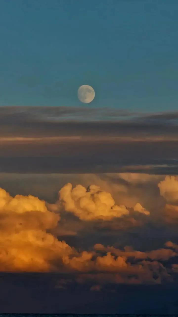 🌕 Луна поднимается над Феодосийским заливом — и вечер на несколько минут становится не...