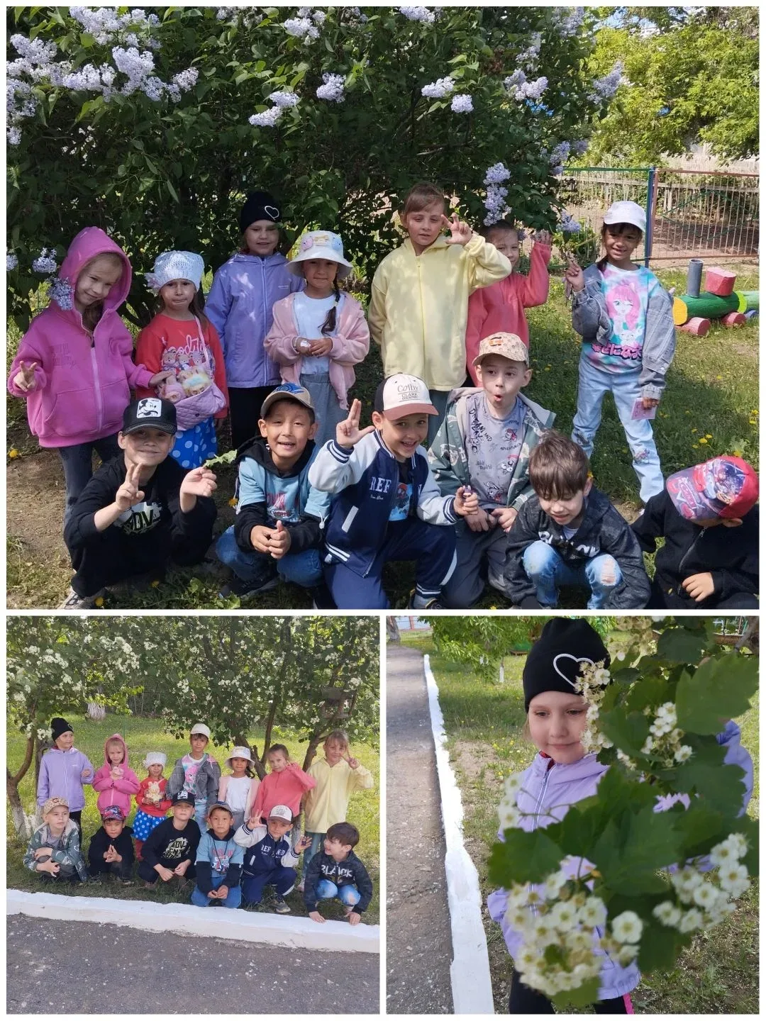 Май- последний месяц весны, когда природа расцветает особенно бурно. Прогулка в это вре...