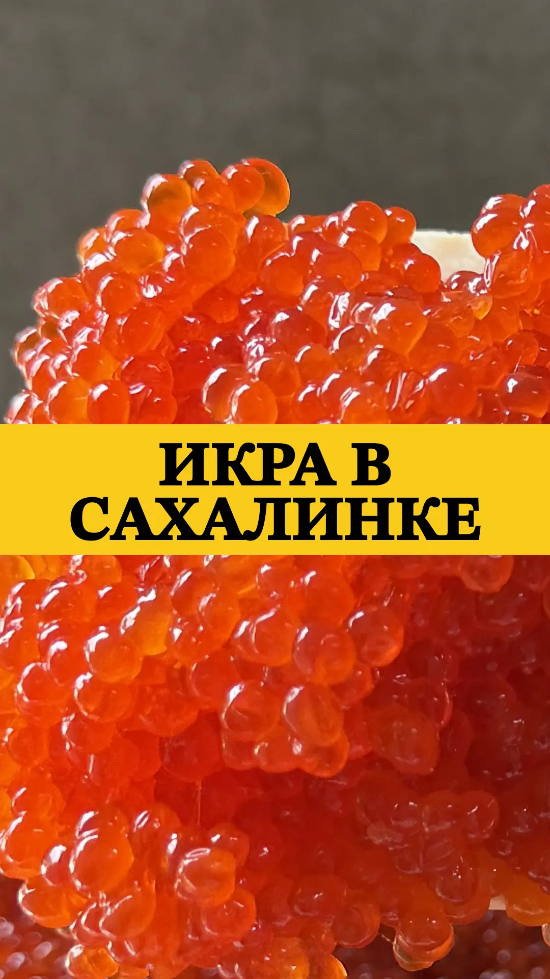 ИКРА В «САХАЛИНКЕ»