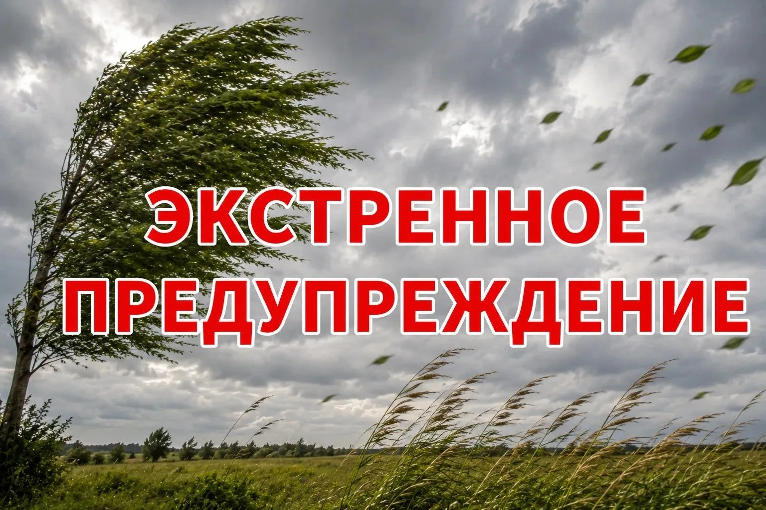 📢📢📢  «Экстренное предупреждение»                                                                 