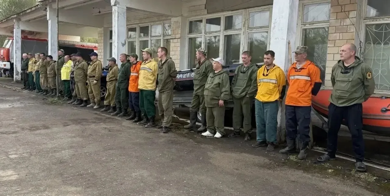 В Пудожском районе благодаря помощи местных жителей ликвидировали лесной пожар  Его потушили в первы