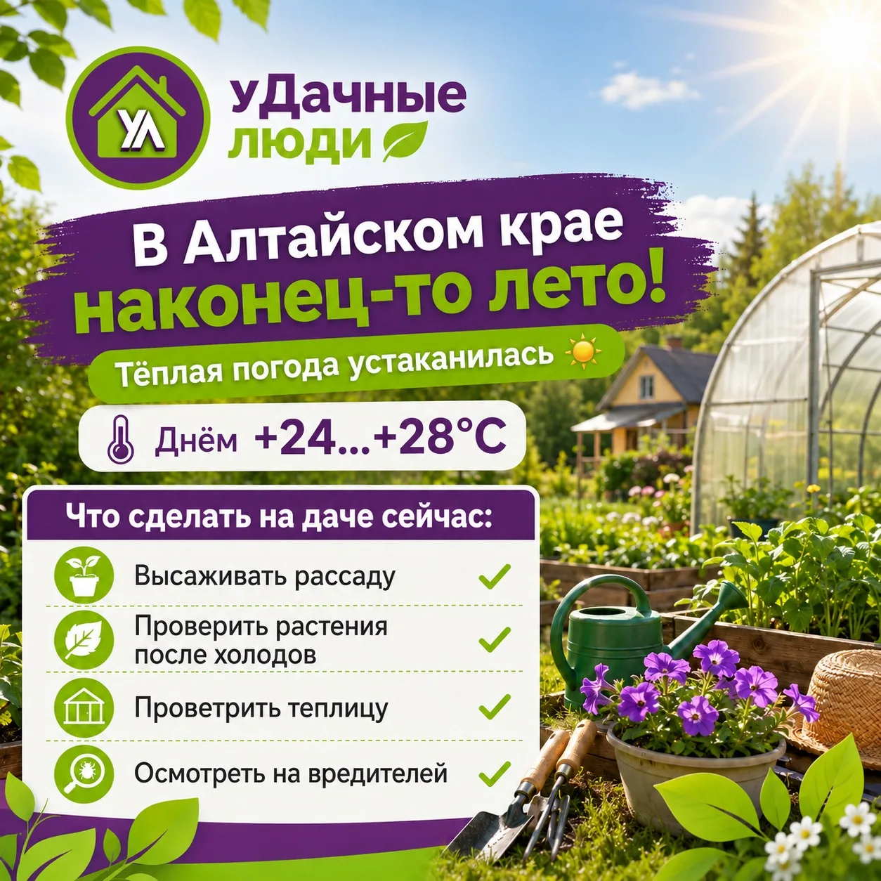 ☀️ Ну что, Алтайский край, кажется, мы дождались!