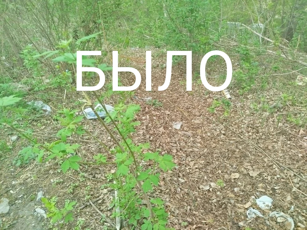 Спортивная школа олимпийского резерва "Центр развития бокса" проводит субботник в район...
