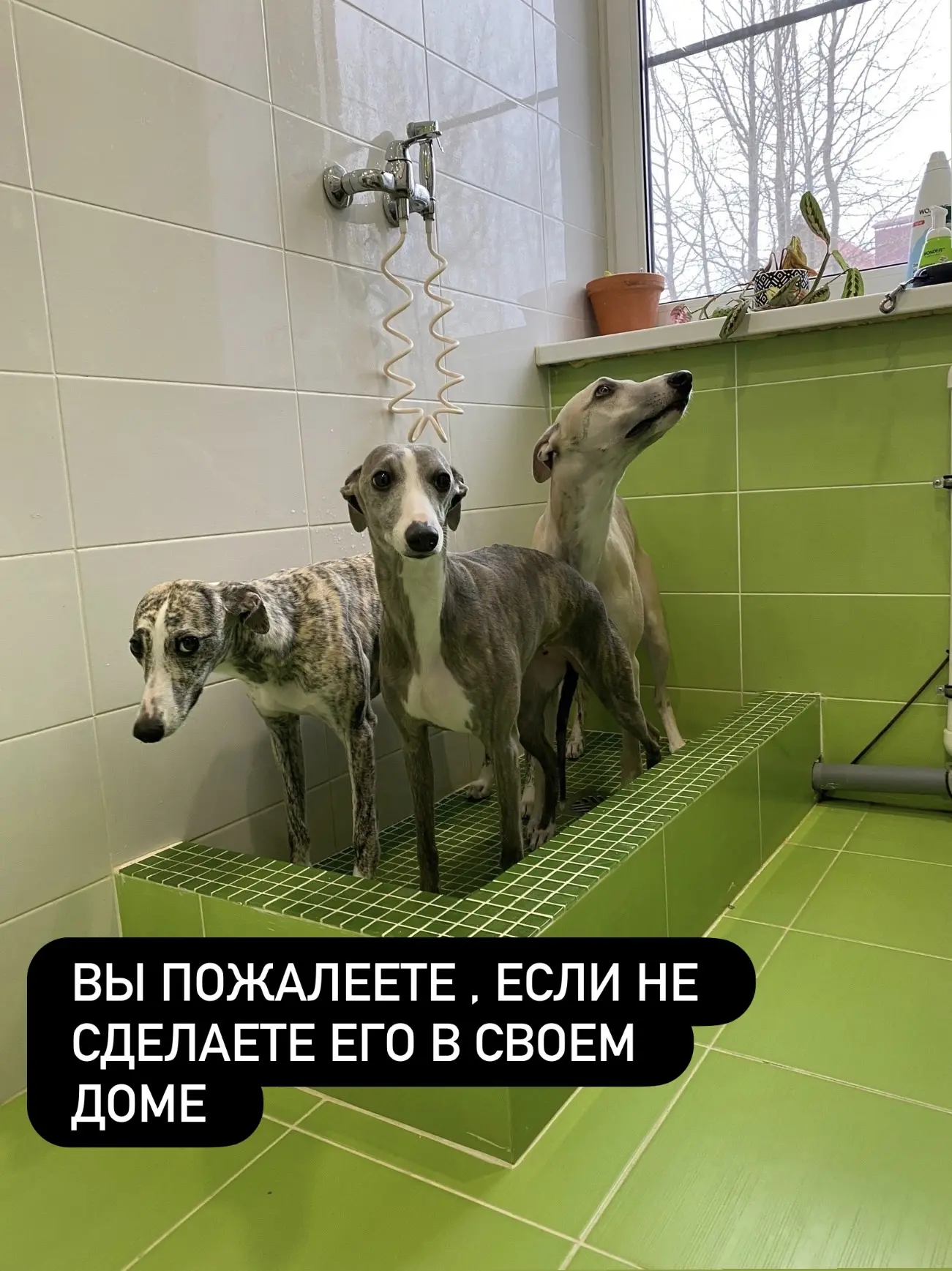 У нас в дома есть  «технический душ» и это было лучшим решением! Его мы сделали в помещ...