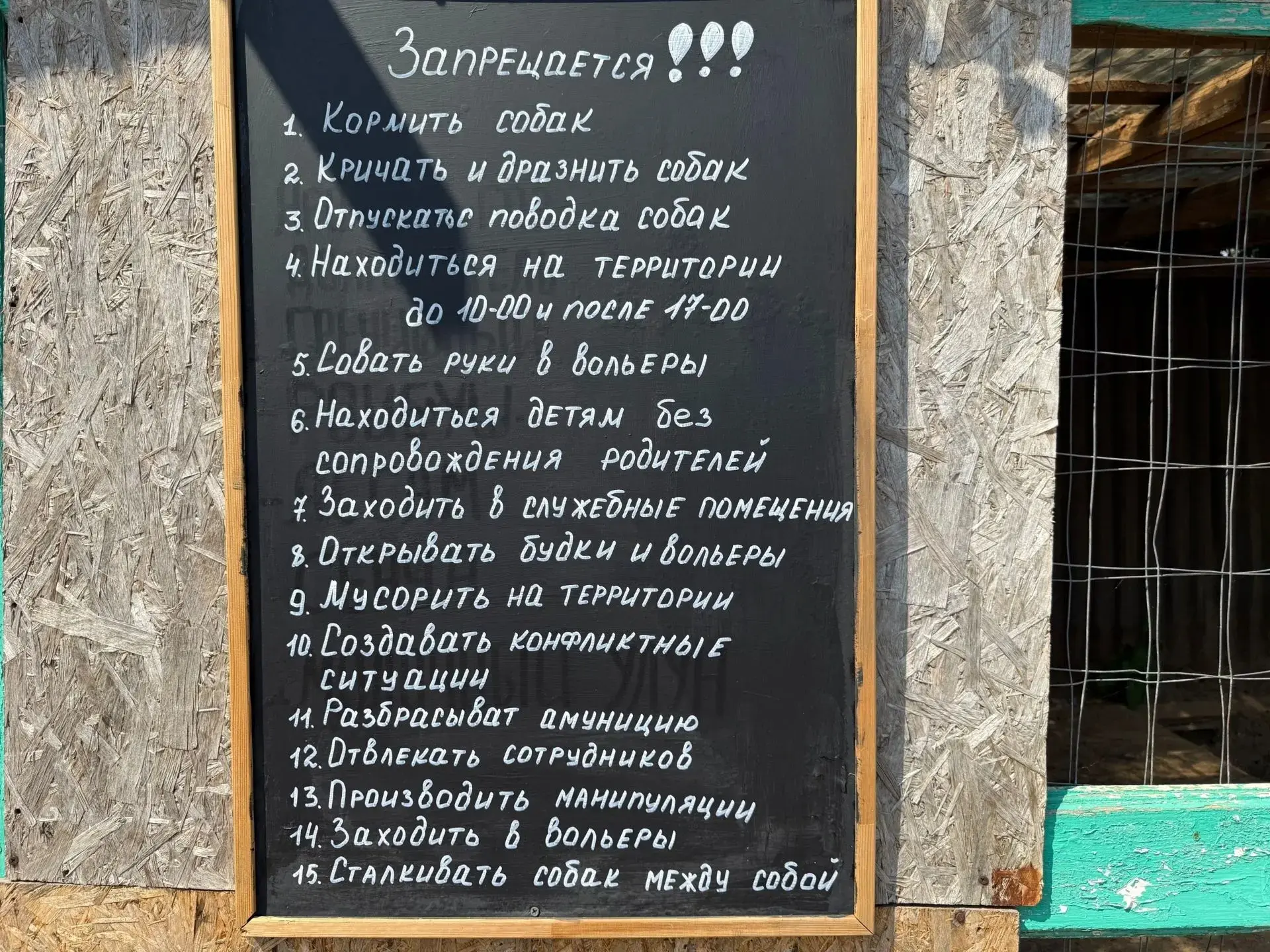 🐾 Добро без выходных: Артём Сокоушин снова в приюте «САХ»!  Сегодня ученик 11 «В» класса Центра обра