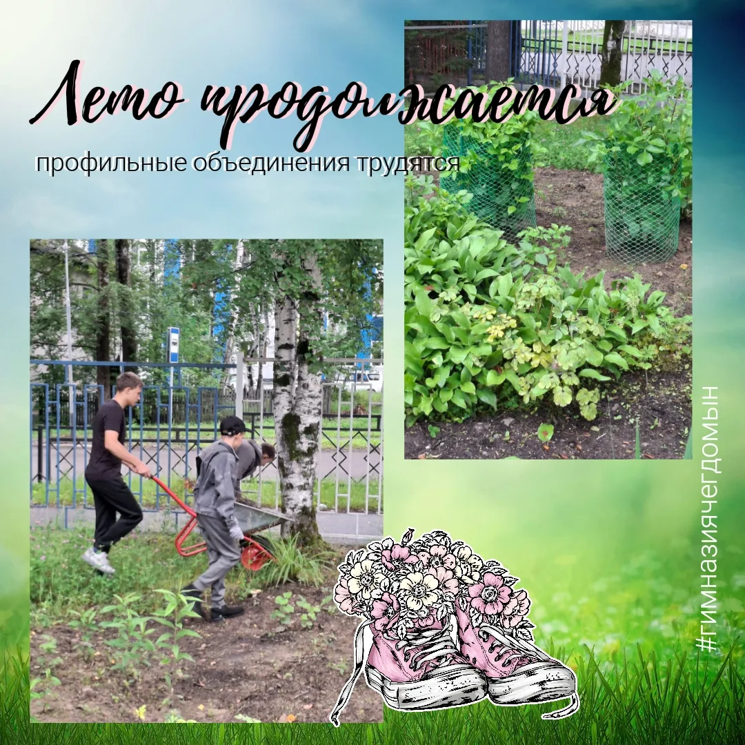Профильное объединение летнего трудового лагеря: спасаем школьные цветы от жары и сорняков ☀️🌻

Пок