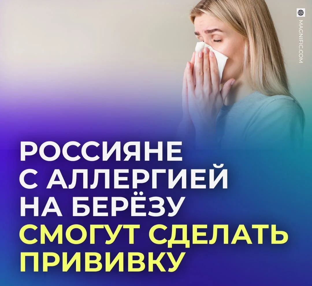 💉 Россияне смогут поставить вакцину от аллергии на пыльцу берёзы уже в октябре.
