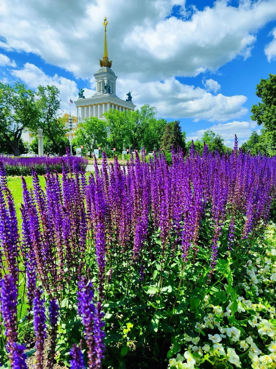 😍 Яркая Москва в объективах камер граждан.