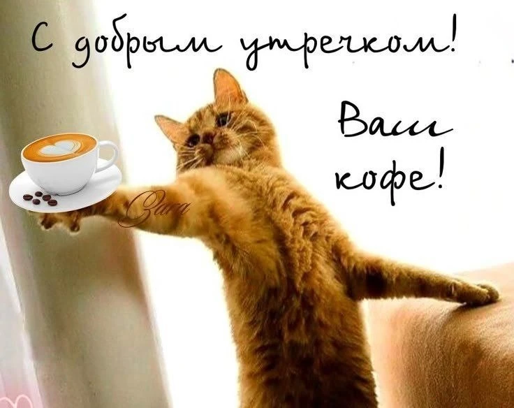 С добрым утром!

Канал «Чердак сознания»
Подпишись!