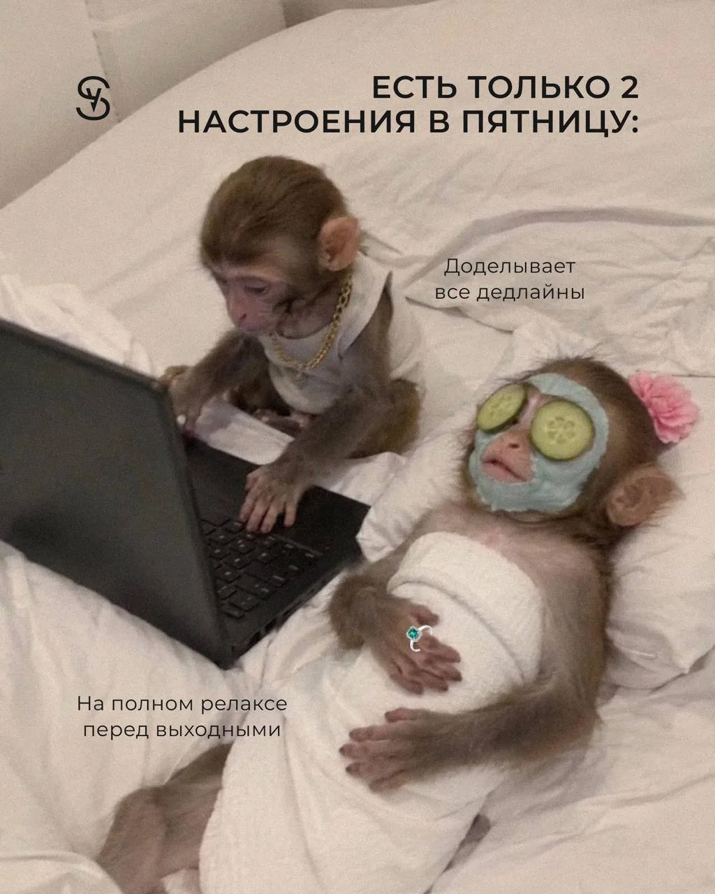 Пятница в одном фото 😅

Когда коллега ещё штурмует дедлайны, а ты уже строишь планы на выходные, вы