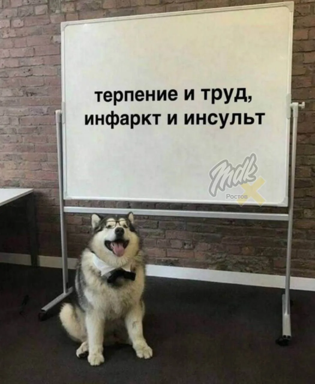 🏙 Ростов залетел в топ-10 городов для молодежи

В неожиданном топе выше оказались только Москва, Пи