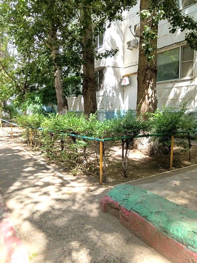 К новости «✂️ «Зеленый парикмахер» 🌳»
