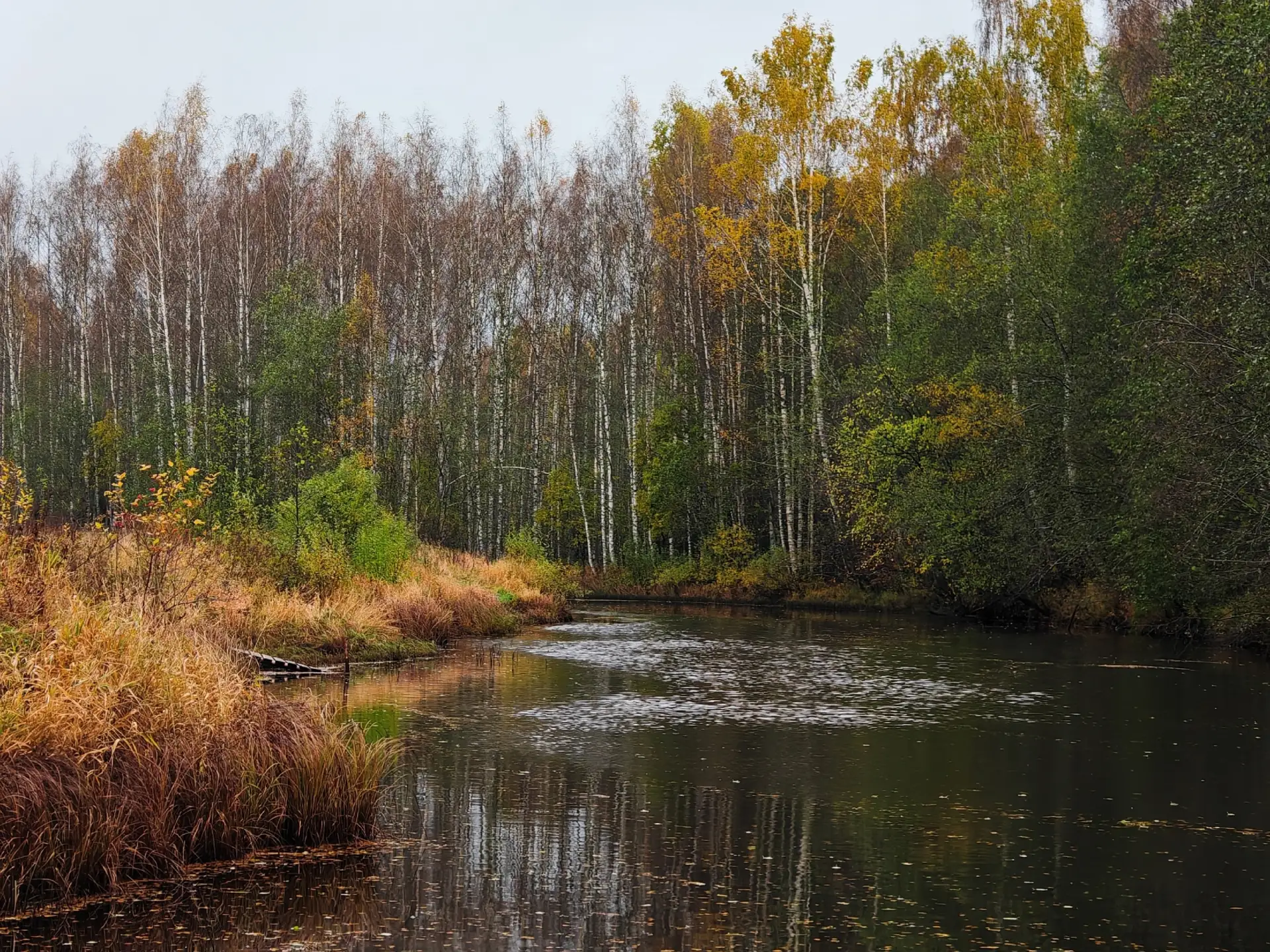 Фотопогода: то дождь, то солнце и ветер. 🍂🍁