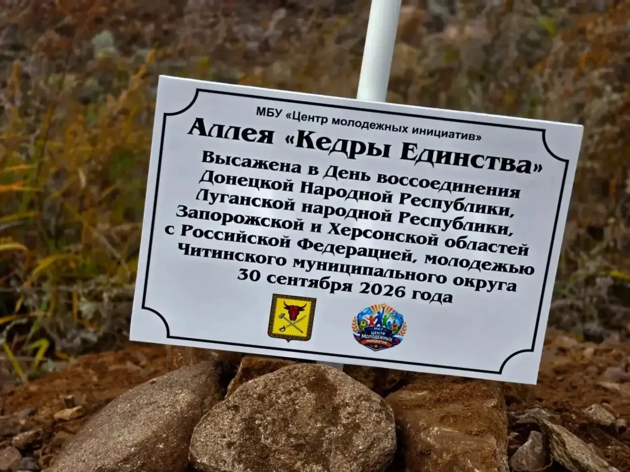 🌲 89 кедров единства высадили в Угдане