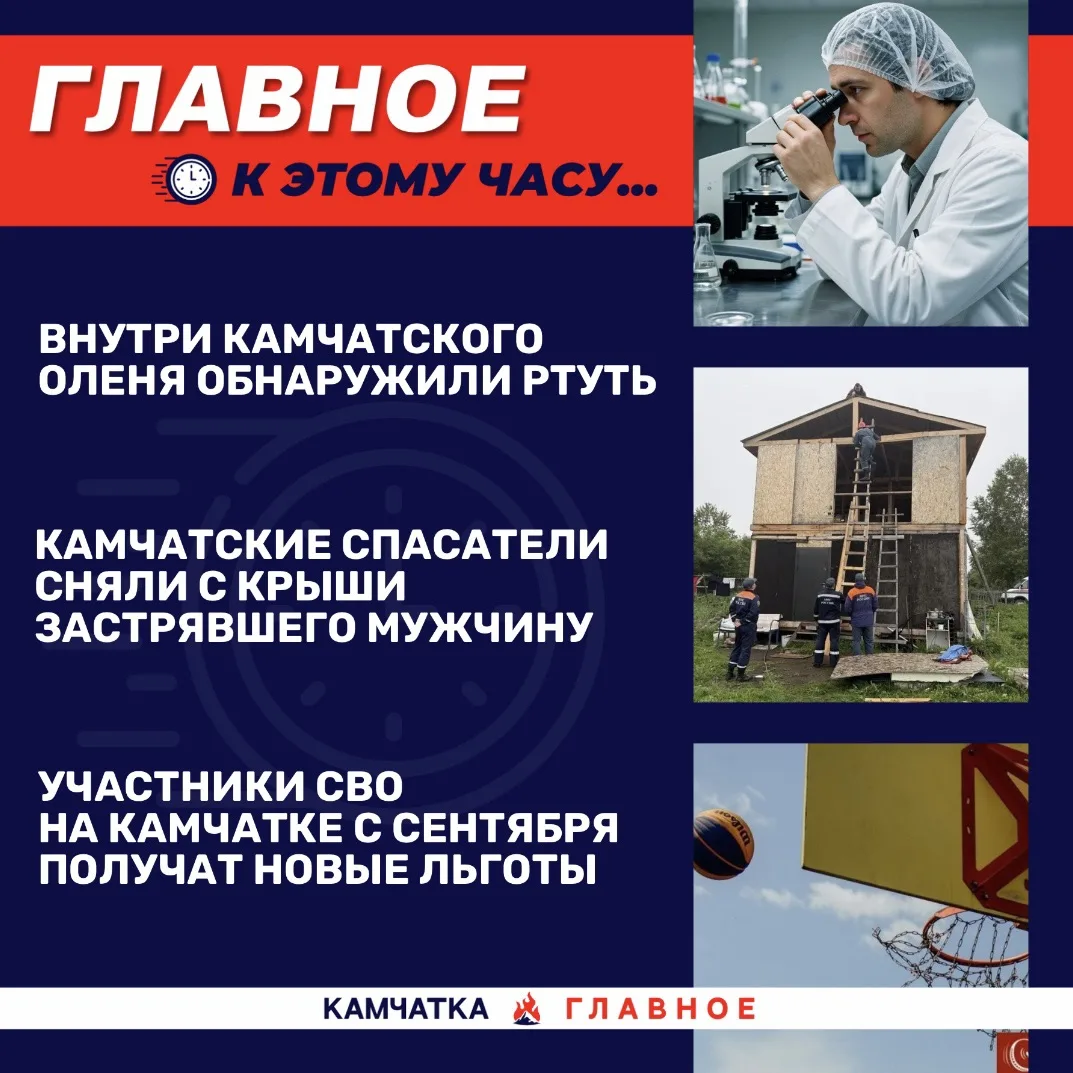 К этому часу…

Собрали для вас топ новостей к 12:30 по Камчатке.

«Вся Камчатка» публикует, что камч