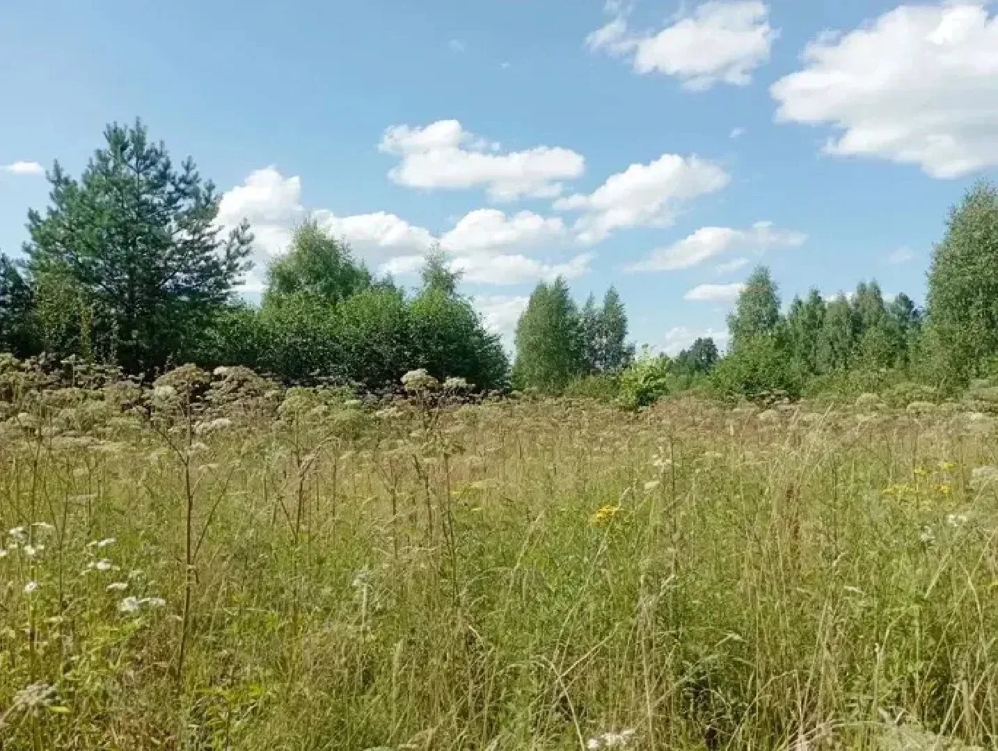 В Можайском округе можно выгодно арендовать землю через торги.