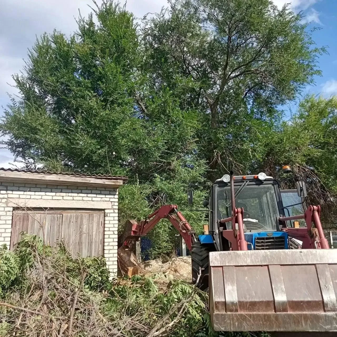 🌳 В Михайловке убрали опасные сухие деревья на территории детского сада