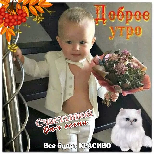 Доброе утро!