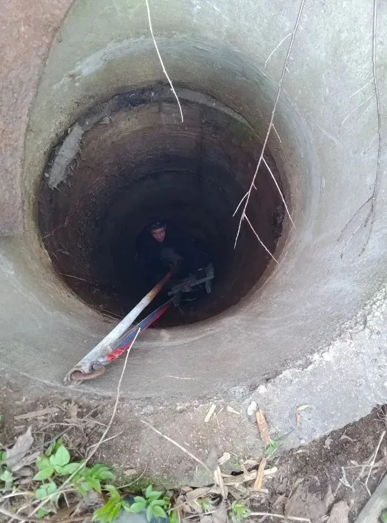 В Лодейном Поле спасатели подоспели на помощь собаке, попавшей в беду  Днем в аварийно-спасательную 