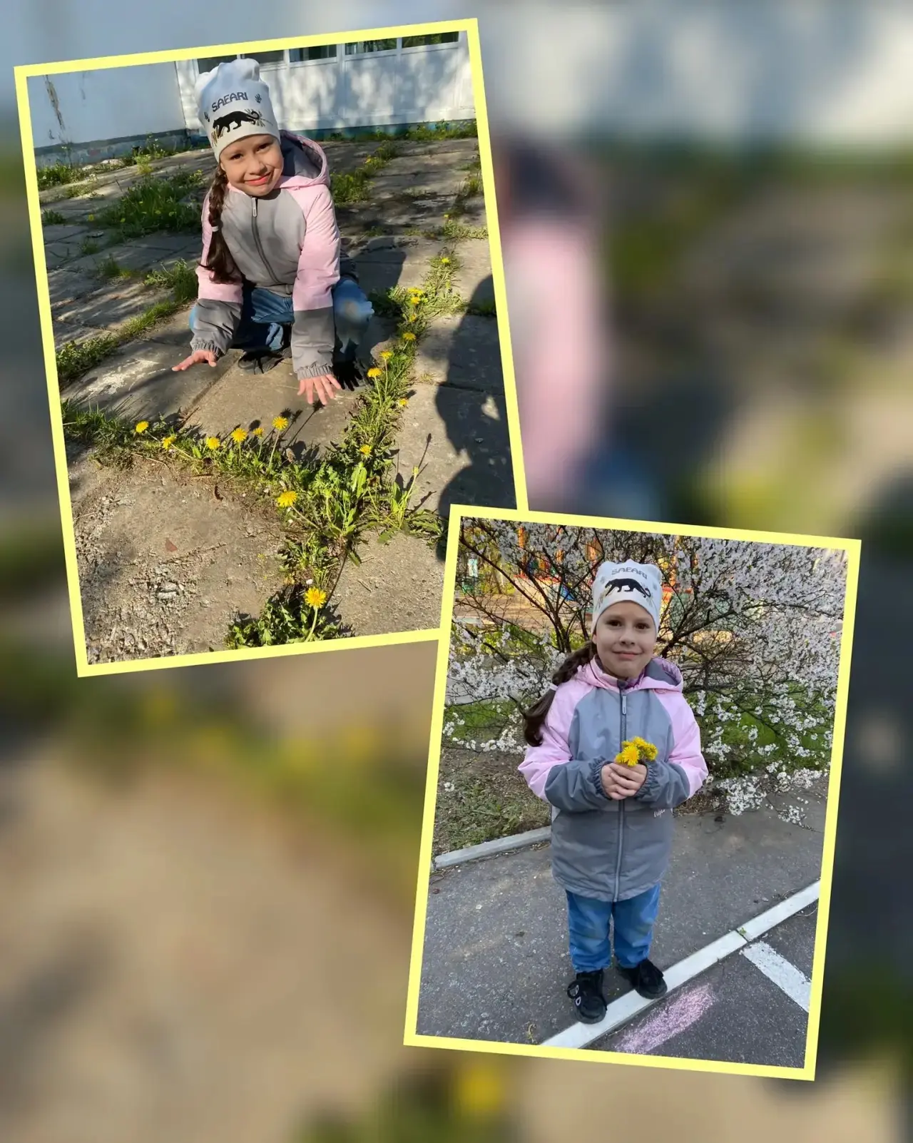 Жёлтые пушистики — одуванчики, привет! 🌞