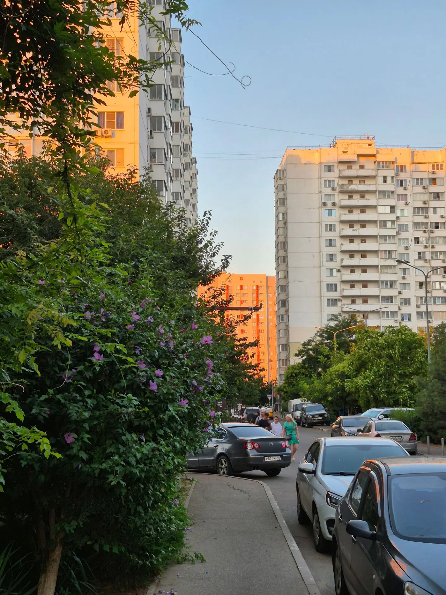 В забавное время мы живём, где можем подделывать информацию. Вчера вечером, возвращаясь...