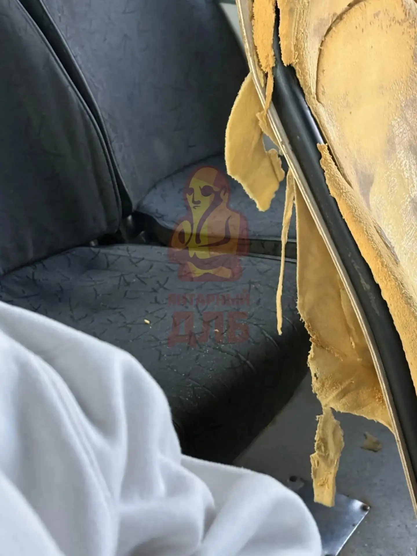 Вот так выглядят сидения в автобусе, который возит пассажиров по области.