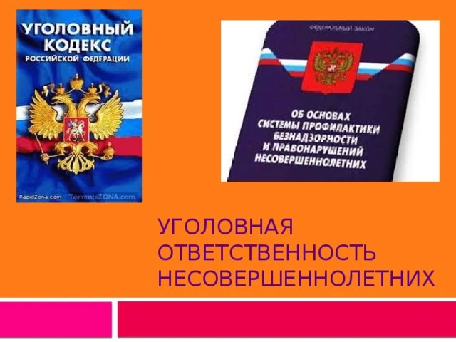 Сотрудники Отдела МВД России «Александровский» информируют об уголовной ответственности за совершени