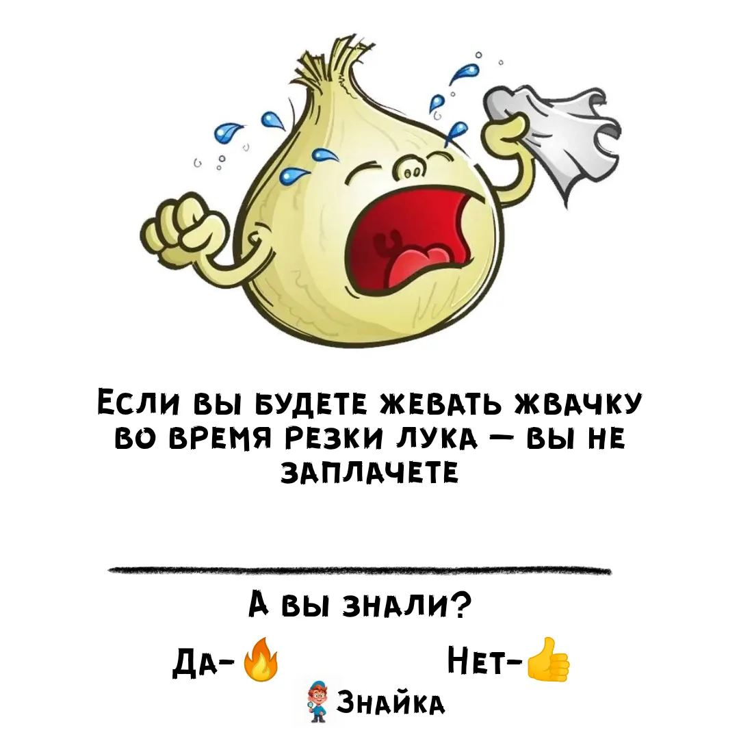 💡Знайка