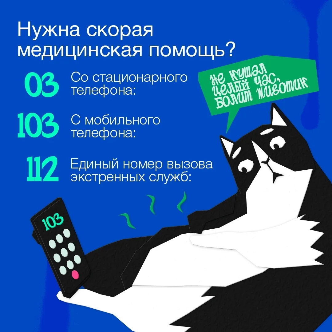 Изображение 4 к публикации «Подслушано Стрежевой | Нижневартовск | Томская область | Излучинск | ЖК Импульс | Прибрежный | Ладный | Себур | Апельсин | Работа | Вакансии»