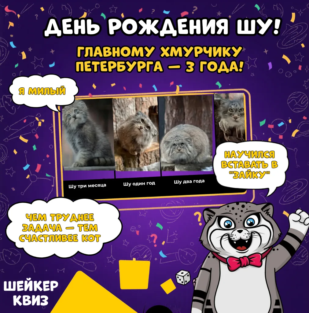 Сегодня в Петербурге важный праздник! Главному пушистому хмурчику Ленинградского зоопар...