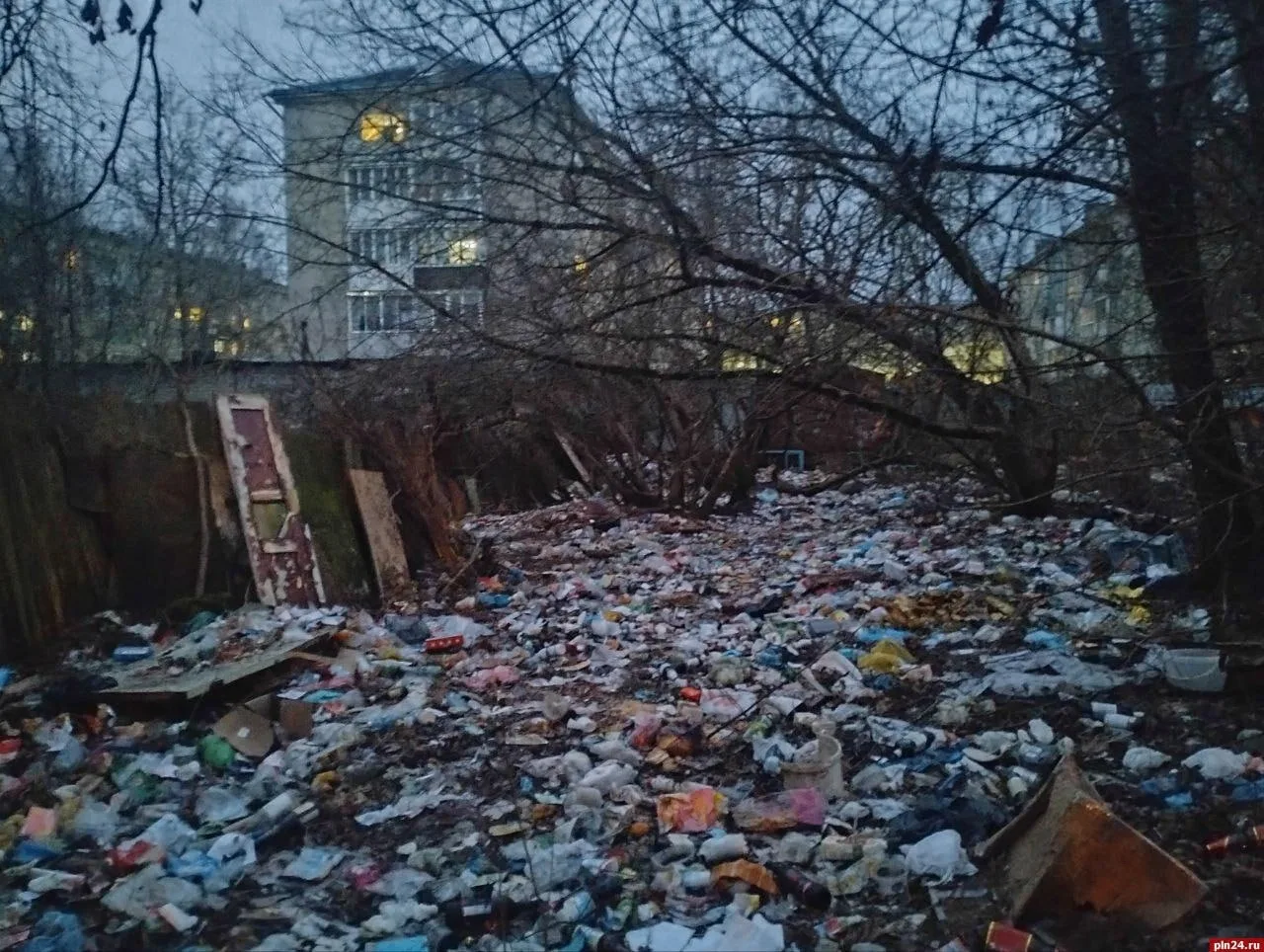 🗑 «Стоп Свалка» и фотоловушки против нарушителей: как Псковская область борется с неза...