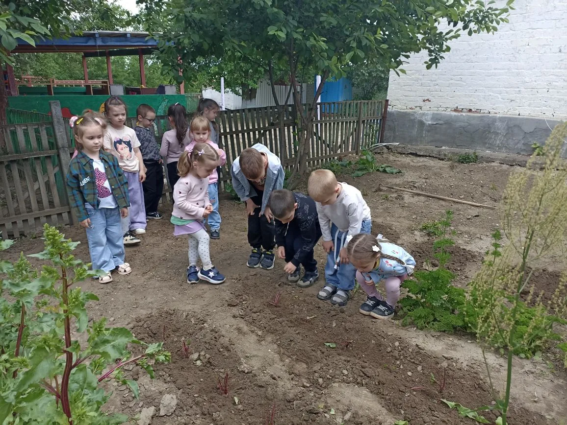 Огород в детском саду — это не просто грядки, а пространство для познавательного развит...