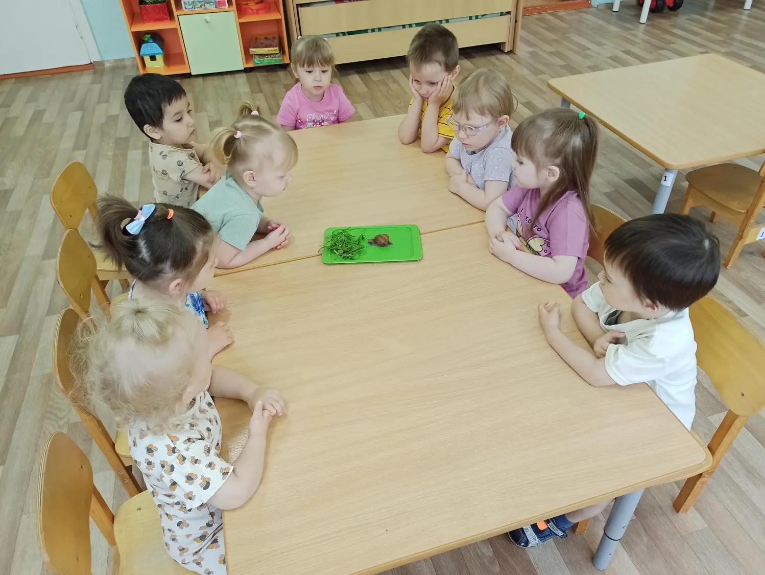 Воспитанников первой младшей группы навестила гостья – улитка. Ребята с большим интересом рассматрив