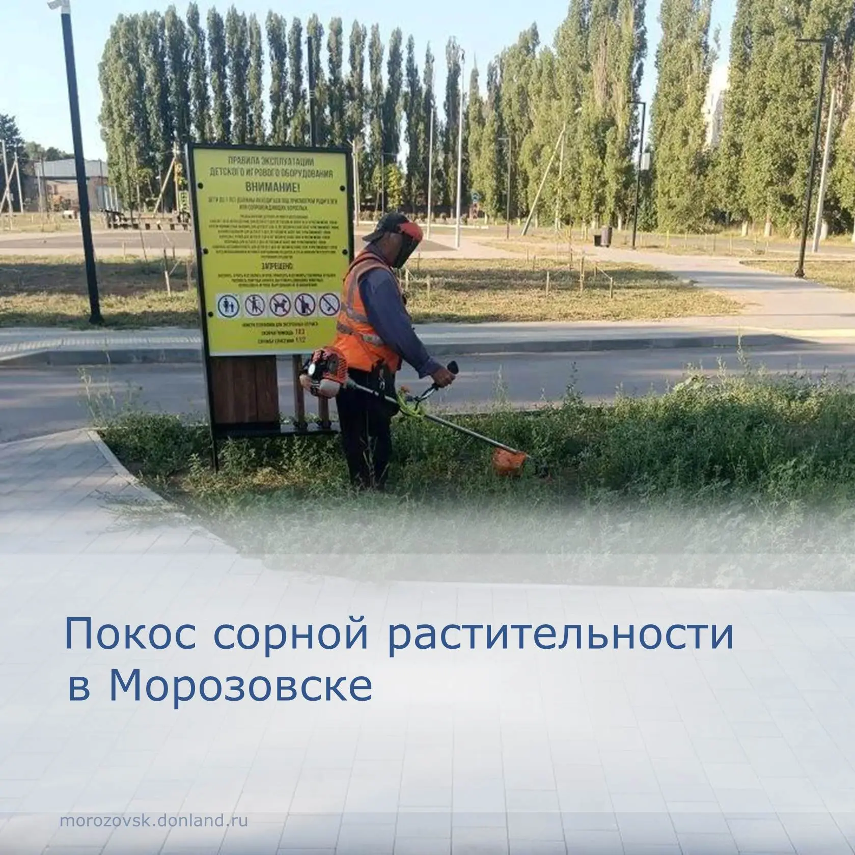 Управлением городского хозяйства покос сорной  растительности и ликвидация очагов разрастания сорняк